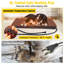 Cage pour chien Tucker Murphy-1048437576