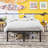 Colbin 18.3'' No Headboard Metal Bed with Black Painted-411701160