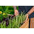Mezza Cedar Raised Planter-65006716