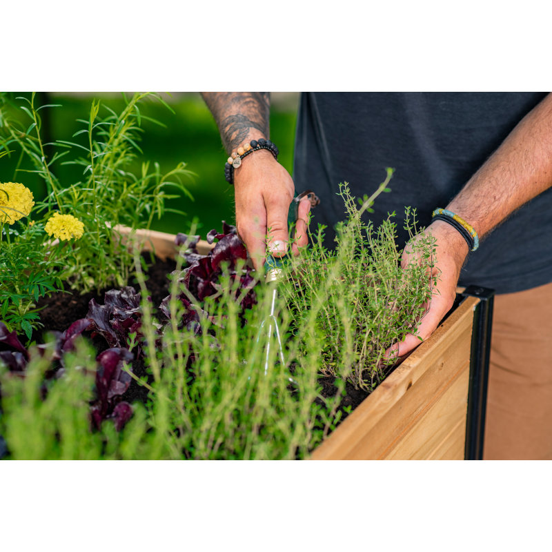 Mezza 42" Cedar Raised Herb Garden Bed with Black Aluminum Posts