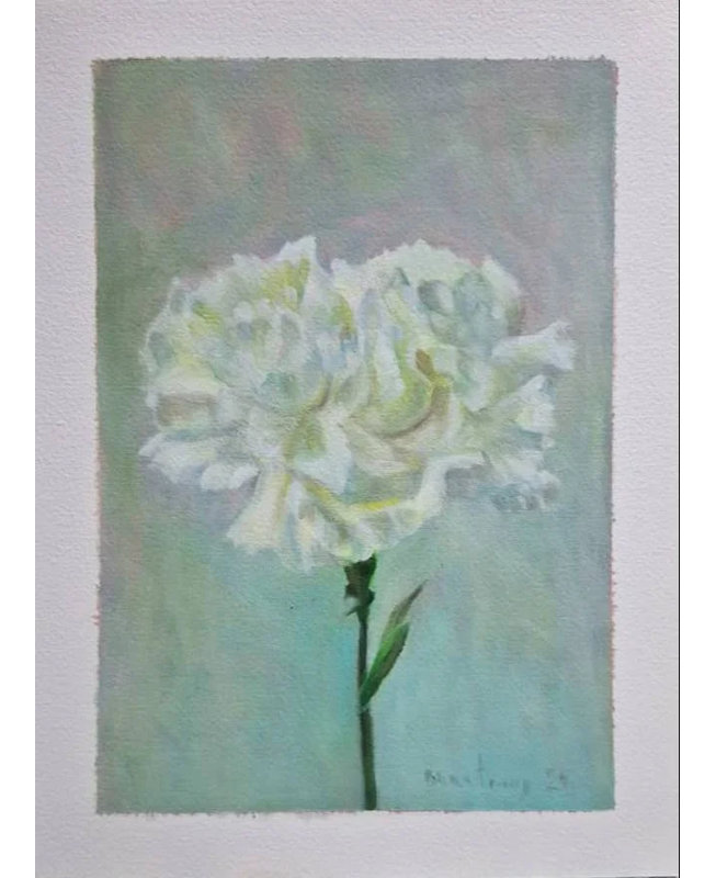 Clavel blanco