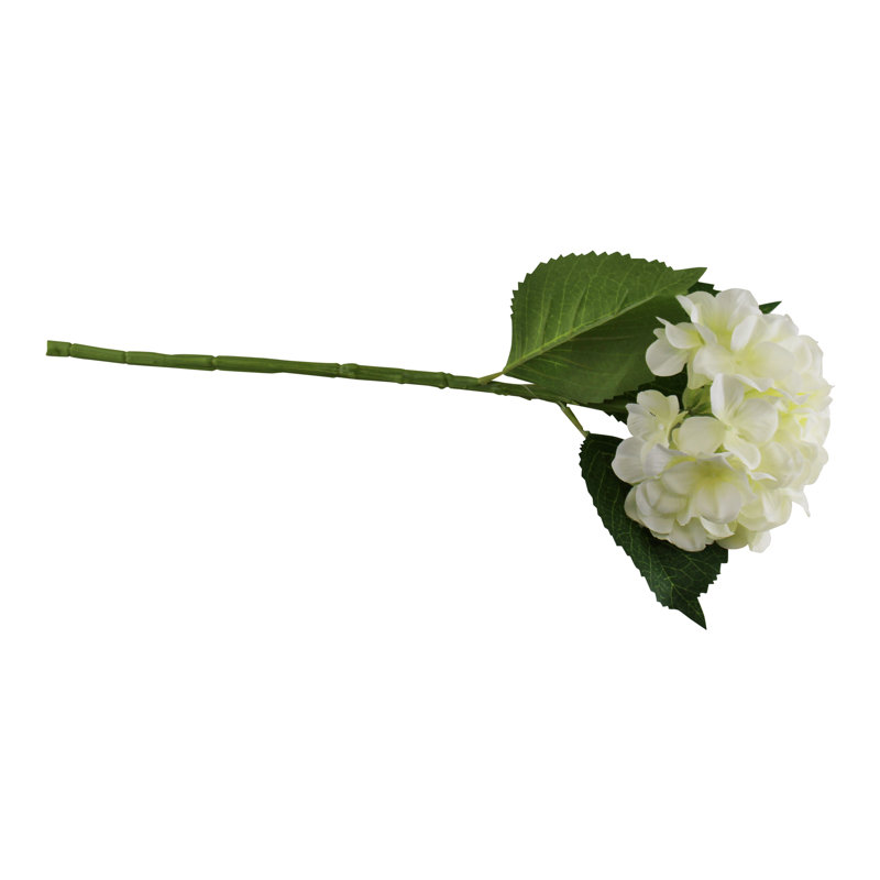 Hydrangea Arrangement, Cream