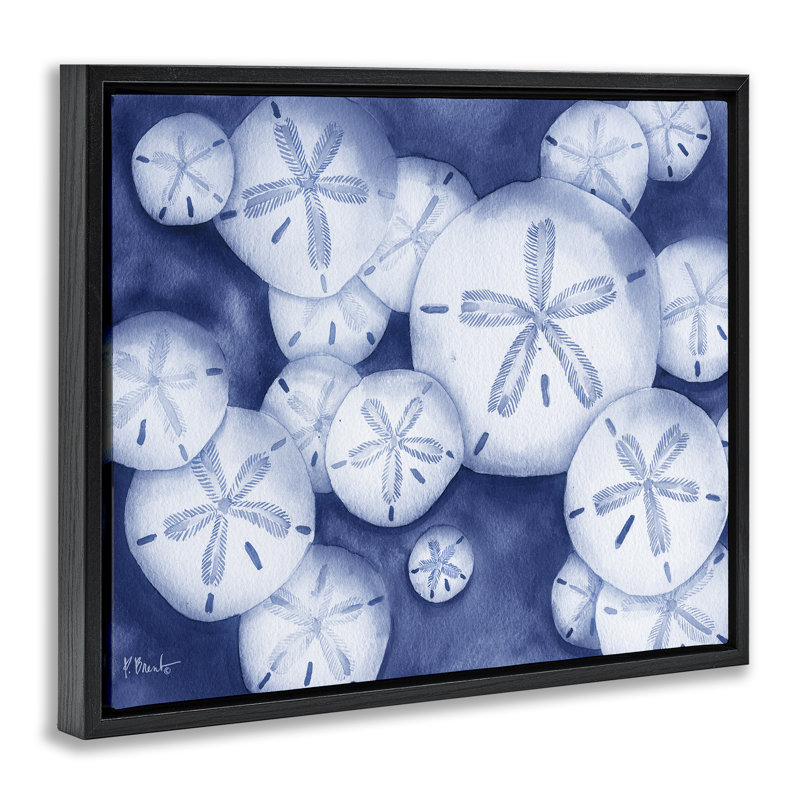 Cadre flottant Watercolor Style Sand Dollars, design par Paul Brent, Cadre flottant noir de jais, H 17 po x l 21 po