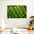 Yarlin Peas-107705785