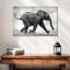 Bébé éléphant Brampt qui court-107685186