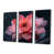 Black Floater Framed Canvas