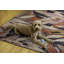 Tapis orange lavable floral Kivett-1250481535
