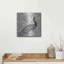 «Peacock Garden IV BW» par Miranda Thomas - impression sur toile non encadrée-1361136982