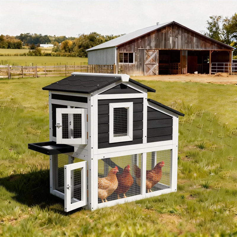 Poulailler d'extérieur en bois à 2 niveaux avec plateau et toit ouvrable pour 2 poules adultes
