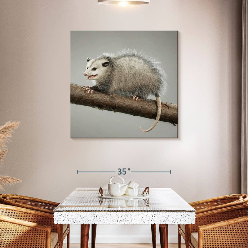 Brampt Snarky Opossum, 39'' H x 39'' W