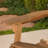 Adirondack Loveseat-917923481