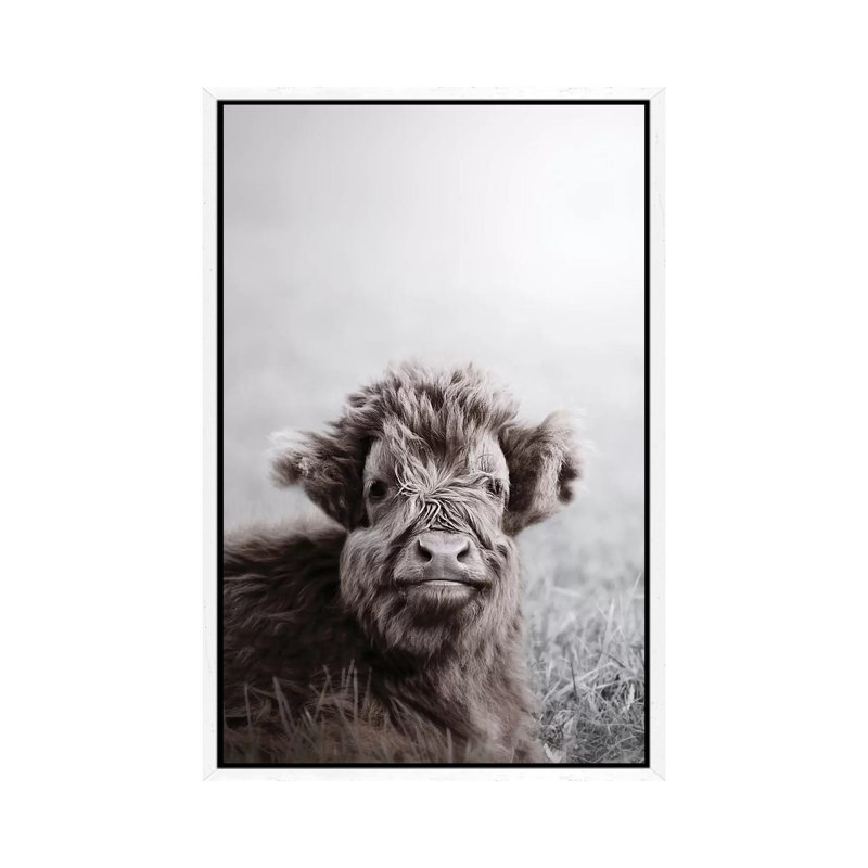 Highland Cattle Calf Alf by Monika Strigel - Print on Canvas, 101.6cm H x 66.04cm W x 3.81cm D, White Framed