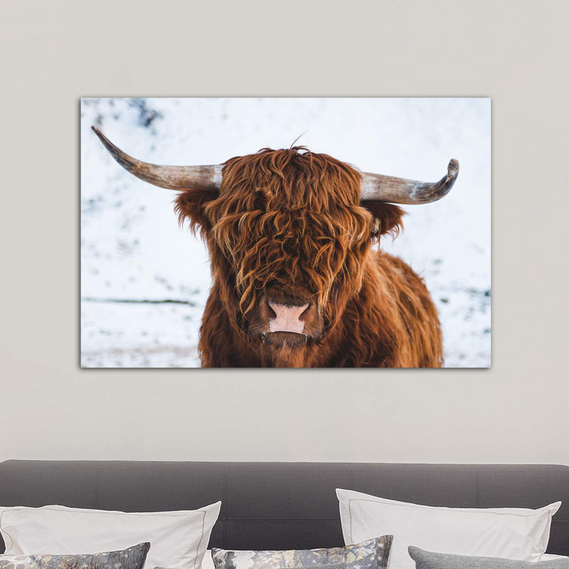 Highland Cattle II by Steffen Fossbakk - Wrapped Canvas Print, 101.6 cm H x 66.04 cm W x 3.175 cm D