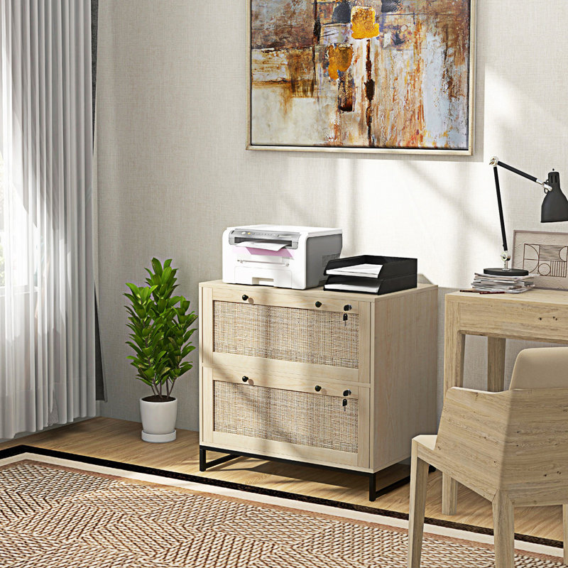 Entry Cabinet, 2 Drawer File Cabinet With Lock, Vertical Filing Cabinet With Keys