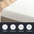Sleep by Wayfair™ 6" Medium Memory Foam Mattress-230587160