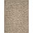 Carolino Performance Oriental Indoor/Outdoor Area Rug-492051068