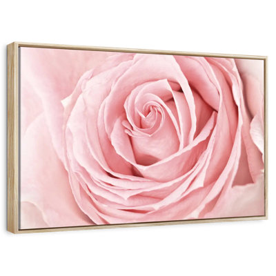 Fresh Pink Rose