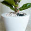 Ensemble de 2 pots à fleurs avec réservoir pour l'intérieur et l'extérieur - Blanc - Cône rond-425123724