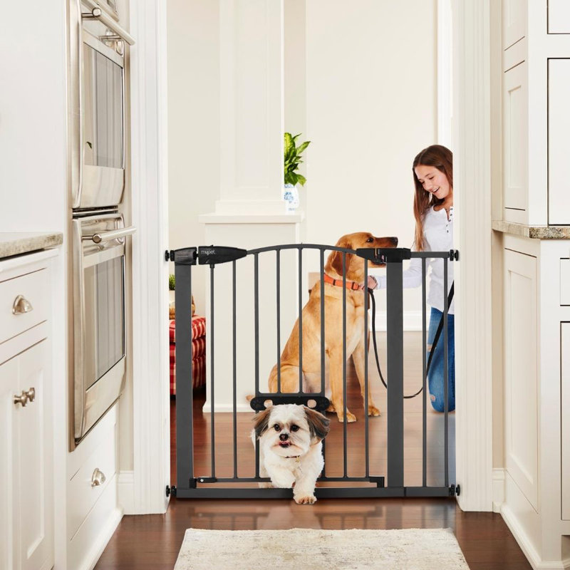 WIDE DECO EASYPASS PETGATE