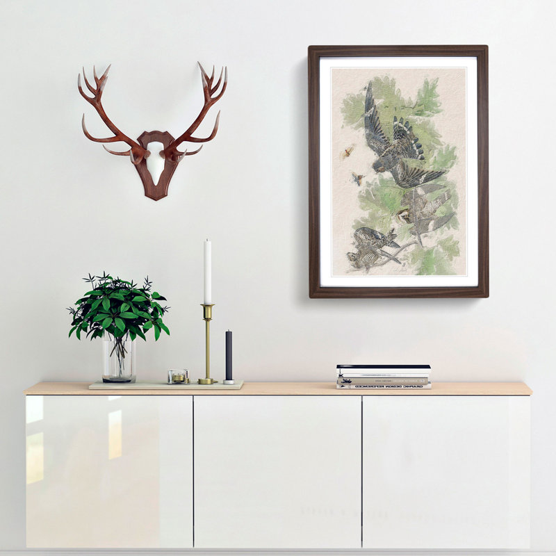 Night Hawks by John Audubon - Framed Print, 65cm H x 48cm W x 2cm D, Walnut Framed
