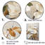 Mélodie douce de magnolia beige sur toile-1766595717-1766595718