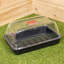4 X 38Cm Unheated Seed Starter Tray Grostart Midi Propagator Indoor Seedling Planter Propagation Mat