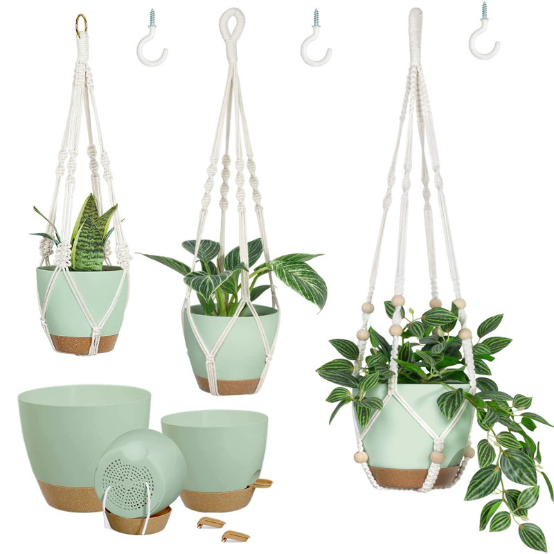 Cintres à plantes avec pots et soucoupes, Vert