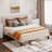 Bettyjean Upholstered Wingback Platform Bed with Padded Headboard and Underbed Storage-255304035-255304044