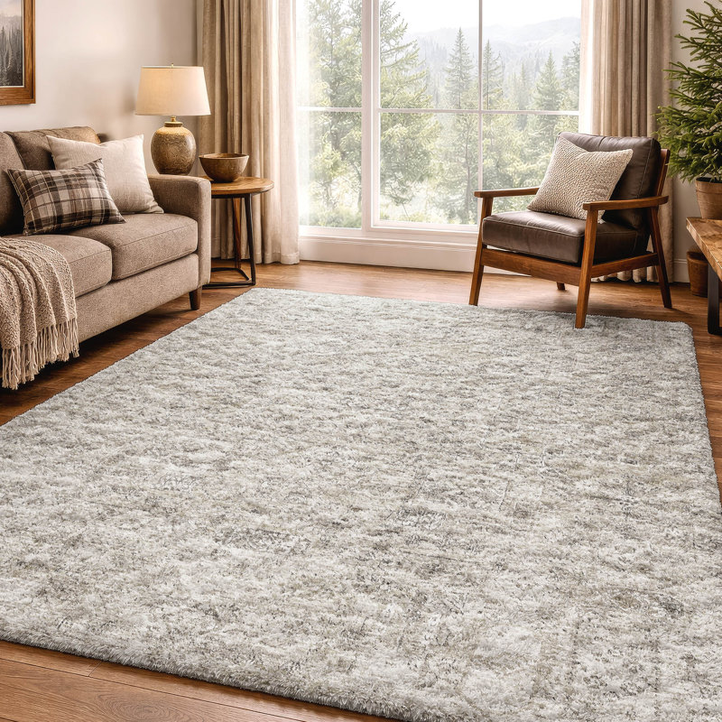 Tapis à poils longs de qualité supérieure lavable à la machine ADS611, Taupe, 3' x 5'