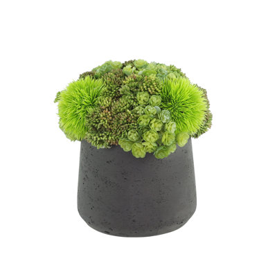 Rizal Faux Succulent in Fiberstone Pot