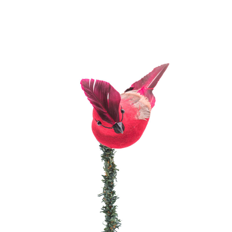 Médiator cardinal en mousse Figuroa