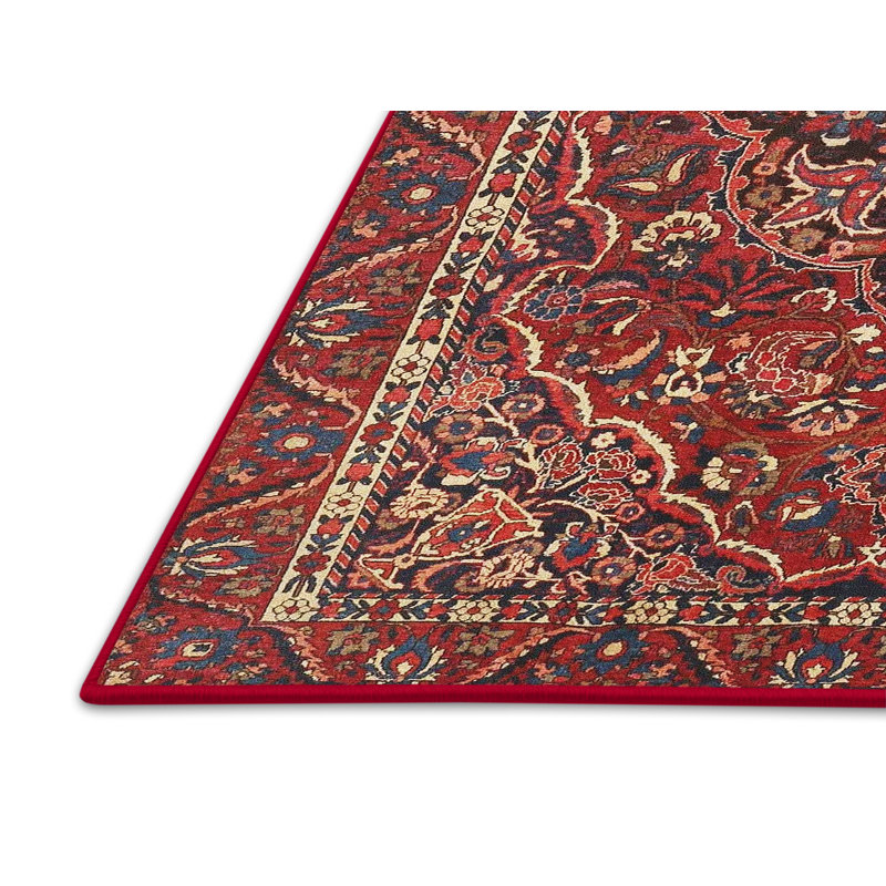 Aquarius Oriental Indoor Rug, Rectangle 4' x 6'
