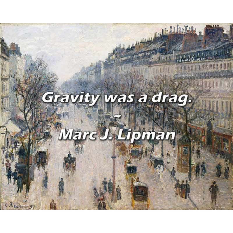 Citation artistique «La gravité était un frein». Toile tendue par Marc J.Lipman, H 17 po x l 24 po
