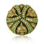 HAMPTON KNOB; ERINITE & LT. COLORADO TOPAZ CRYSTAL MUSEUM GOLD FINISH-753965227