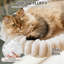 Cotton Hammock Pet Bed-1507462650