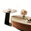 Colletti-1480830638-1480830626