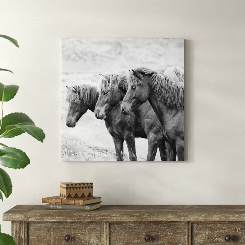 B&W Horses X by PHBurchett - Wrapped Canvas Print, 76cm H x 76cm W
