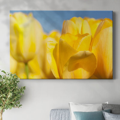 Sunshine Yellow I-Gallery Wrapped Canvas