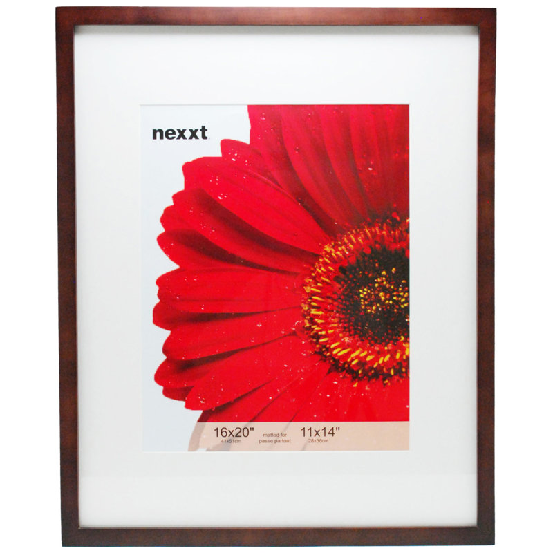 Cadre pour photo simple en bois mat 11 "x 14" Alaya, Espresso