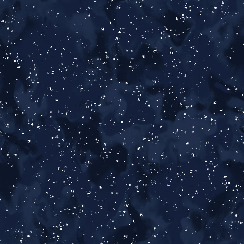 «Sidereal Navy» par Wagner Campelo - impression sur toile tendue, L 12 po x H 12 po