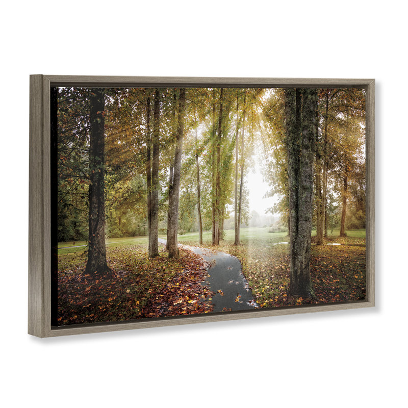 Cadre flottant «Follow The Light Forest Path», conception par la galerie Celebrate Life, H 17 po x l 25 po
