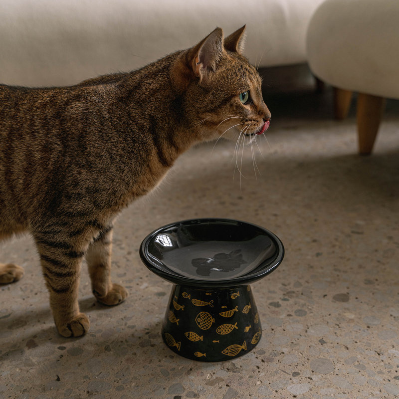 Dexypaws: bol pour chat en céramique à dessus plat - imprimé de poissons - 7,5 oz, plat pour animaux de compagnie, nourriture et eau, hauteur ergonomique surélevée, facile à moustaches, élégant