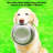 PETMAKER Large Elevated Pet Bowls with Stand