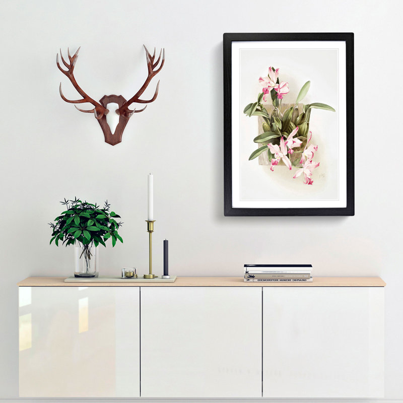 Magnolia Flowers Illustration Tab. 10 by Frederick Sander - Picture Frame Painting Print, 60cm H x 40cm W x 2cm D, Black