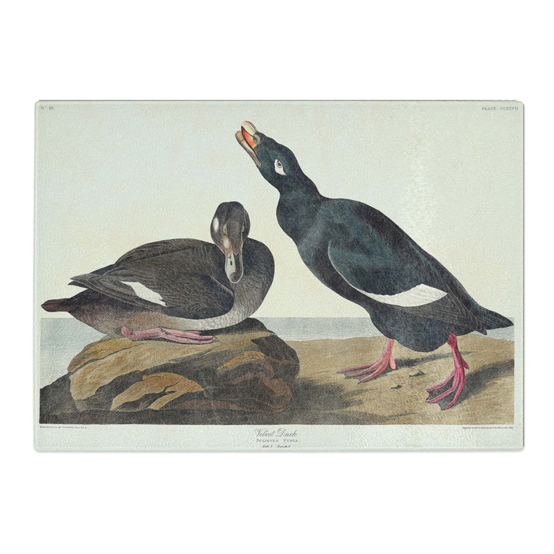 Tempered Glass Velvet Duck by John James Audubon Chopping Board, 28.5 cm x 20 cm