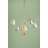 Lila 5 Light Chandelier