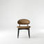 Ensemble 2 pièces de chaises de salle à manger Modern Modern-1621681215