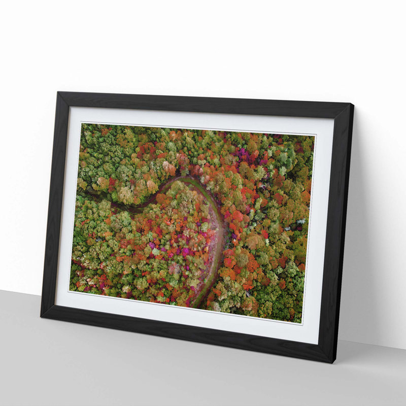 Road Through the Forest - Picture Frame Graphic Art Print, 60cm H x 91cm W x 2cm D, Black
