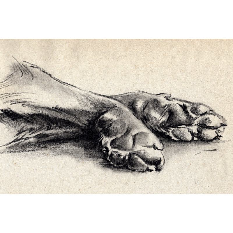 Charcoal Paws II - Painting on Canvas, Black Floater Framed, 30cm H x 46cm W