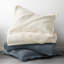 Ensemble de courtepointe 100% coton Scallop Edge-116732107-124836120
